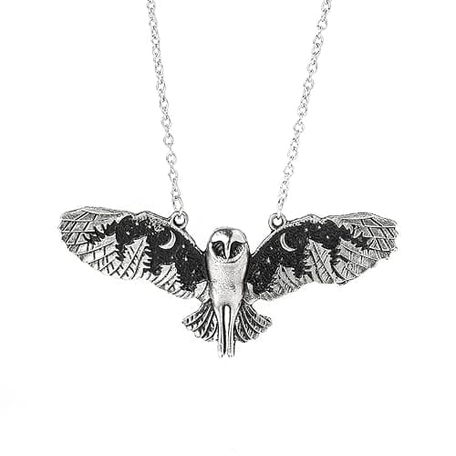 KURTCB Owl Pendant Necklace Vintage Punk Moon Forest Animal Wing Flying Fairy Core Chain Choker Necklace for Women Men - Image 1