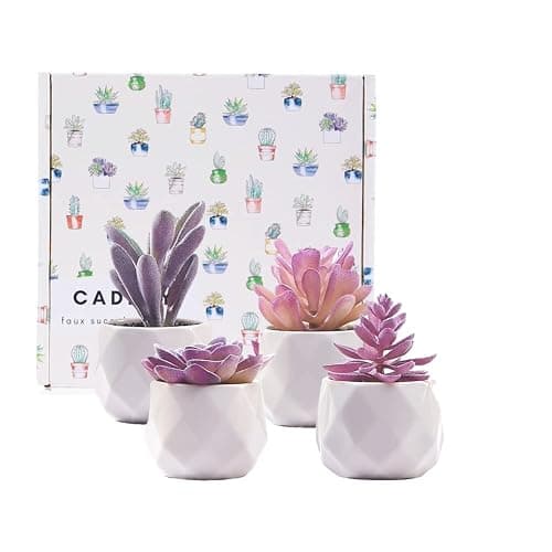 CADNLY Fake Succulent Plant Set - Artificial Desk Plants for Women Desk - Realistic Faux Succulents in Ceramic Pots - Mini Purple Decor for Bedroom Bathroom Office Shelf 4 Pack thumbnail 7