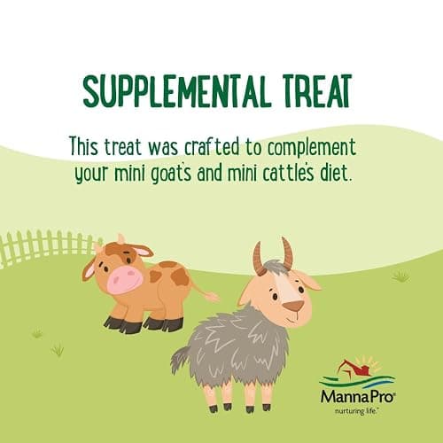 Manna Pro Farmhouse Favorites Mini Goat & Cattle Treats – Premium Baked Snacks for Mini Goats & Mini Cattle – Hand Mixed – Alfalfa & Molasses Flavored – 3lb Bag thumbnail 5