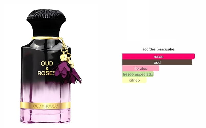 Oud & Roses Eau de Parfum, 60 ml, arabisches Parfüm, Unisex, lange Lebensdauer, inkl. nachfüllbarem Zerstäuber, 5 ml, orientalische Rose mit edlen Hölzern und Bernstein (Oud & Roses) thumbnail 2