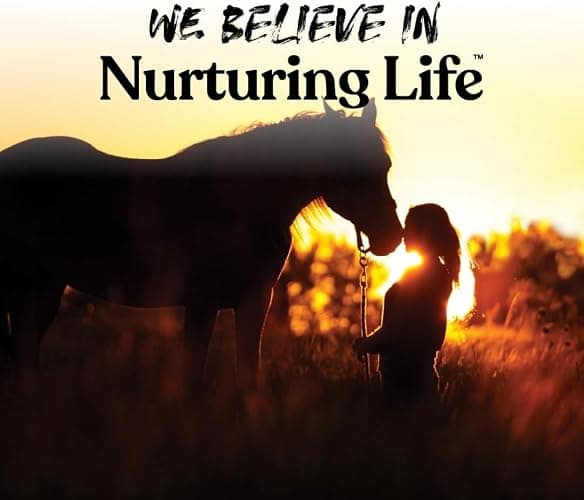 Manna Pro Bite-Size Nuggets for Horses, Pocket Sized Training Horse Treats, Peppermint Flavored Treats, Packs with Vitamins & Minerals, Great Taste Guaranteed, 4 lbs thumbnail 5