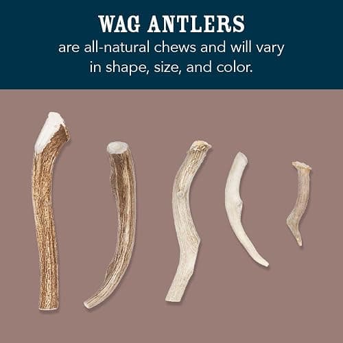 Amazon Brand - Wag Dog Deer Antler Chew, Naturally Shed, Whole, Large 8-9.5 inches, Long Lasting for Aggressive Chewers, Best for Dogs 30-45 lbs, 3.20 Ounce (Pack of 1) thumbnail 2
