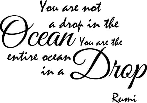 Newclew You are not a Drop in The Ocean, You are The Entire Ocean in a Drop. - Rumi Vinyl Wall Art Poetry Quotes and Saying Home Decor Decal Sticker ((M) 22''x15'') - Image 1