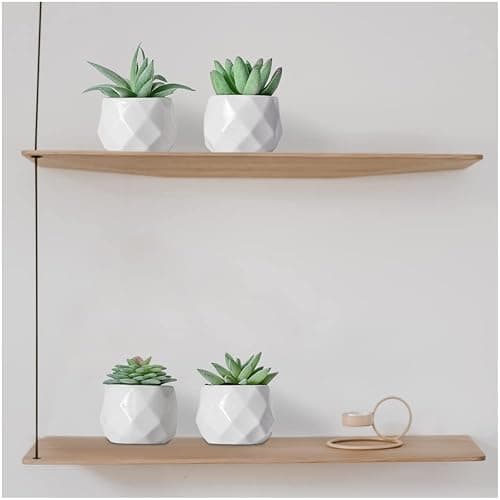 CADNLY Fake Succulent Plant Set - Artificial Plants for Women Desk - Realistic Faux Succulents in Ceramic Pots - Mini Green Decor for Bedroom Bathroom Office Shelf 4 Pack thumbnail 8