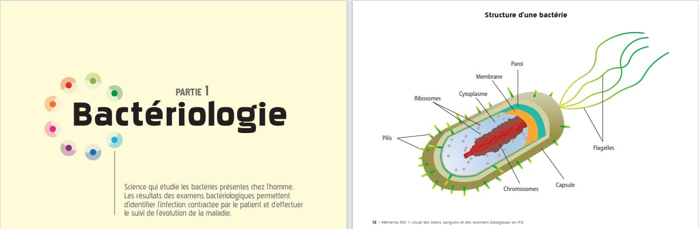 Mémento 100% visuel des bilans sanguins et autres examens biologiques IFSI: 150 fiches colorées pour mémoriser facilement tous les examens biologiques, utiles pour réviser et en stage thumbnail 5