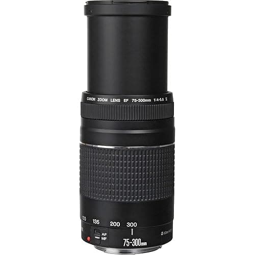 Canon EF 75-300mm f/4-5.6 III Lens Bundled with 58mm UV Filter + Lens Cap Keeper + Microfiber Cleaning Cloth (4 Items) thumbnail 3