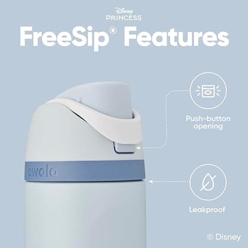 Owala Disney Princess FreeSip Insulated Stainless Steel Water Bottle with Straw for Sports and Travel, BPA-Free Sports Water Bottle, 24 oz, Cinderella - Cinderella - Disney Princess thumbnail 4