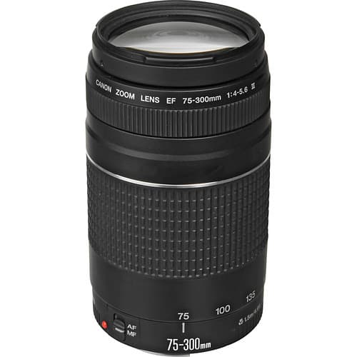 Canon EF 75-300mm f/4-5.6 III Lens | Compact Telephoto Zoom with Versatile Focal Range & Smooth Autofocus | Great for Sports, Wildlife, & Everyday Photography (6473A003) + Shoulder Bag + 64GB Card thumbnail 2