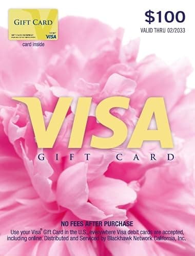 Visa $100 Gift Card (plus $5.95 Purchase Fee) - Image 1