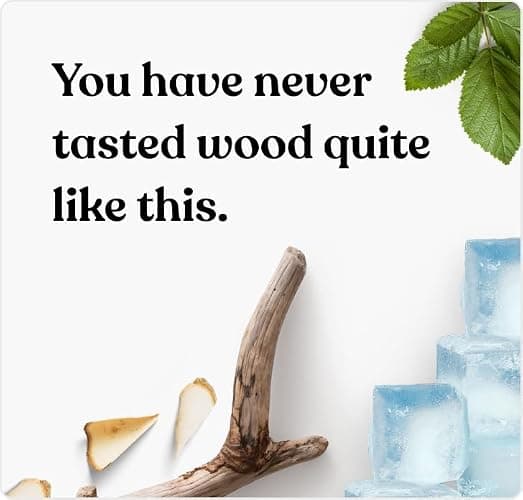 pick'em flavoured toothpicks Macho Mint [TRIPLE PACK] - 60x flavoured toothpicks - the lifestyle alternative to chewing gum (icy & minty flavour) - toothpicks with flavour - toothpicks wooden thumbnail 4