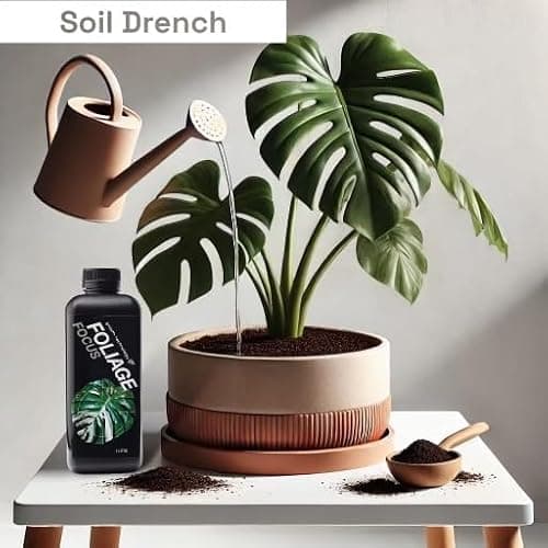 GT Growth Technology Foliage Focus Houseplant Food Nutrient Fertilizer Concentrate for Aroids and Tropical Plants - 1 Litre - Foliage thumbnail 3