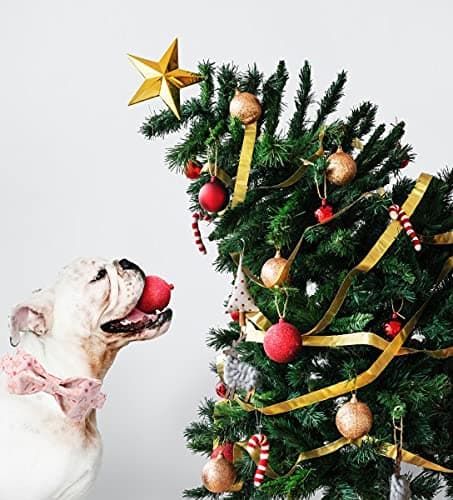 Unique style paws Dog Collar, Pet Collar Dog Bowtie Gift for Girl or Boy Dogs, Christmas Gingerbread Man Adjustable Dog Collar for Small Dogs thumbnail 5