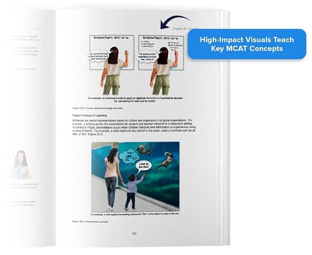 UWorld MCAT Books 2026-2027: 8 MCAT Prep Books (Printed & Interactive Digital), 6 Science Review Books + 2 MCAT CARS Practice Books thumbnail 4