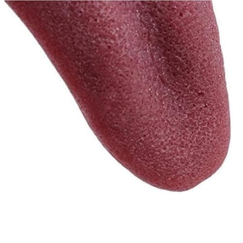 Zenarao Realistic Fake Tongue Gross Jokes Prank Magic Tricks Halloween Horrific Magicians Props Fashion Processing Magic Kits thumbnail 2