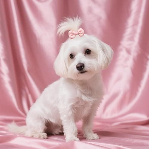 25Pcs Dog Hair Accessories Set for Small Medium Dogs, Flower Bows with Rubber Bands,Dog Hair Clip,Floral Bell Puppy Collar for Boy Girl Pomeranian Yorkie Poodle Maltese Shih Tzu Groomer (Pink) thumbnail 8