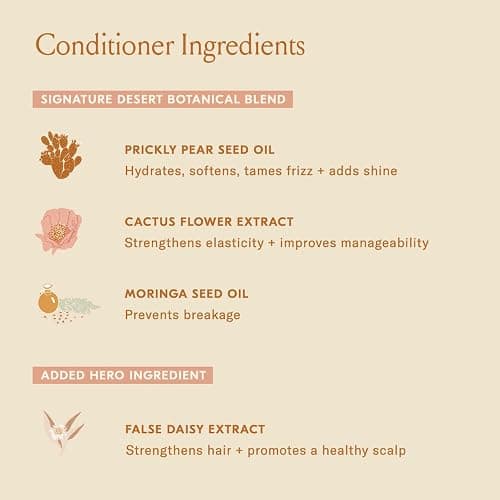 DAE Signature Duo Set (Shampoo & Conditioner) thumbnail 7