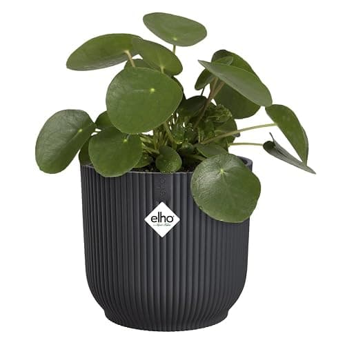 elho Vibes Fold Round 16 - Flower Pot from 100% Recycled Plastic - Indoor Plant Pot - Ø 16.1 x H 14.8 cm - Black/Anthracite thumbnail 5