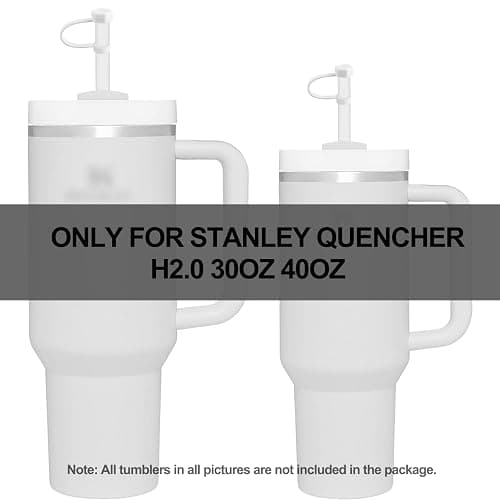 Silicone Spill Stopper Set Compatible with Stanley Cup 2.0 30oz & 40oz with Straw Cover (Set of 2, Clear) thumbnail 3