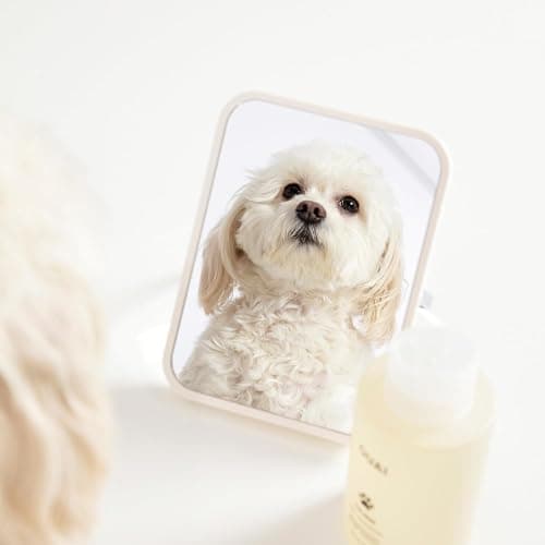 shampoo thumbnail 6