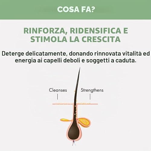 AlfaParf Milano Semi Di Lino Scalp Renew Energizing Low Shampoo, 1000 ml thumbnail 3