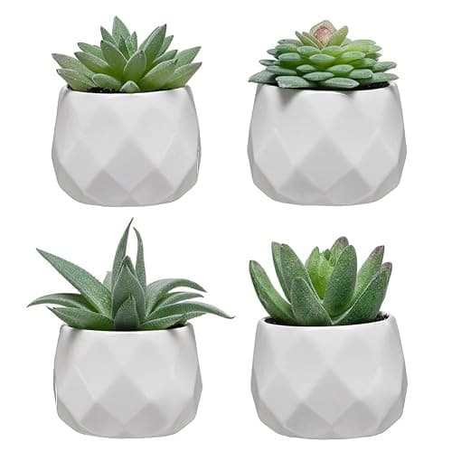 CADNLY Fake Succulent Plant Set - Artificial Plants for Women Desk - Realistic Faux Succulents in Ceramic Pots - Mini Green Decor for Bedroom Bathroom Office Shelf 4 Pack thumbnail 9
