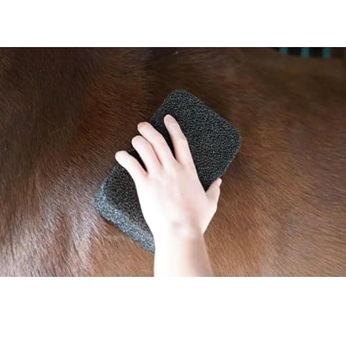 Epona Tigers Tongue Horse Groomer & The Queens Brush Set - Grooming Scrubber Sponge & Hair Brush for Removing Dirt & Dander on Horse's Mane & Tail - For Equestrians and Horse Owners, with E-Book thumbnail 7