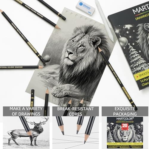 MARTCOLOR Drawing Sketching Pencil Set, 20 Pieces, Graphite Pencils (14B-4H), Charcoal Sticks, Stump, Eraser, Sharpeners, Ideal for Drawing Art, Sketching, Artist Pencils for Beginners & Pro Artists thumbnail 3