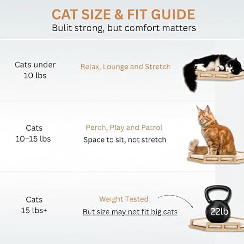 INICIO Cat Wall Shelves - Safe and Sturdy Cat Wall Furniture - Stylish Natural Wood Corner Shelf with 3 Steps for Cats up to 15lbs - Cushioned Perch and Stairs for Climbing and Playing thumbnail 6