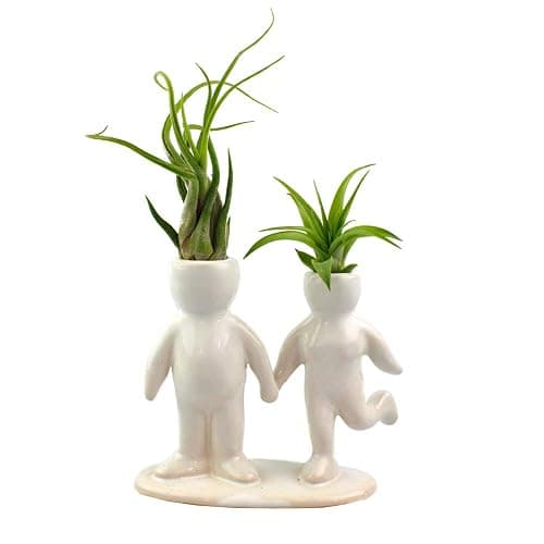 NW Wholesaler 5 Inch White Ceramic Couple Holding Hands People Shaped Planter with Two Live Tillandsia Air Plants - Potted Indoor Air Plants for Home and Office Decor - Image 1