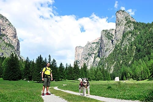 Neewa Dog Walking Belt with Pocket and Collapsing Bowl, Ideal for Trekking, Hiking, Running with Dog and Hands Free Leashes thumbnail 9