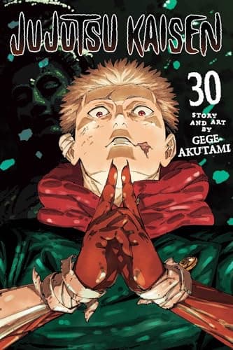 Jujutsu Kaisen, Vol. 30 - Image 1
