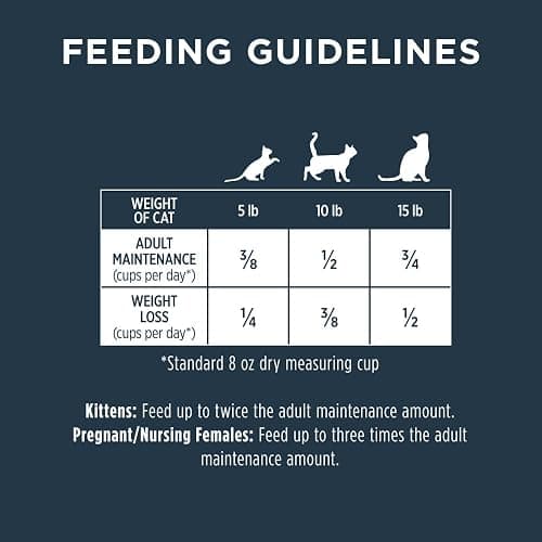 Instinct Raw Boost, Natural Dry Cat Food with Freeze Dried Pieces, High Protein, Grain Free Recipe - Real Salmon, 4.5 lb. Bag thumbnail 9