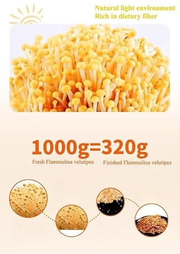 4 flavors ready-to-eat Fresh spicy golden enoki mushroom,spicy strip，seasoned dishes,Instant snacks，Kimchi, vegetarian，vegetable，Hot pot dishes，Chinese cuisine (20 packs) thumbnail 6