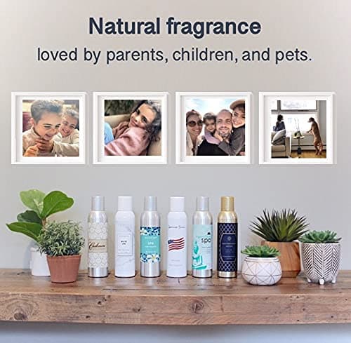 Room Fragrance Air Freshener Spray Concentrated Bathroom, Kitchen, Car, or Office Deodorizer, U.S.- Made by AP Fragrance (Vanilla Cashmere) thumbnail 6