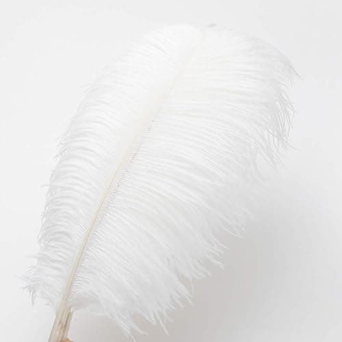 24pcs Natural White Ostrich Feathers 10-12inch (25-30cm) for Wedding Party Centerpieces，Flower Arrangement and Home Decoration. thumbnail 3