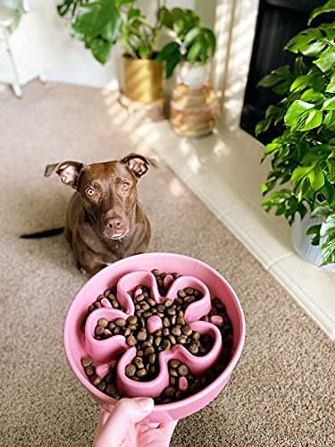 LE TAUCI Slow Feeder Dog Bowls Ceramic, 1.5 Cups Dog Food Bowl, Puppy Slow Feeder Dish for Fast Eaters,Pink Bloom thumbnail 2