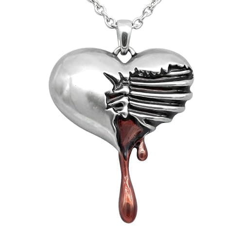 Controse Silver-Toned Stainless Steel Bleeding Heart Necklace with Pendant - Image 1