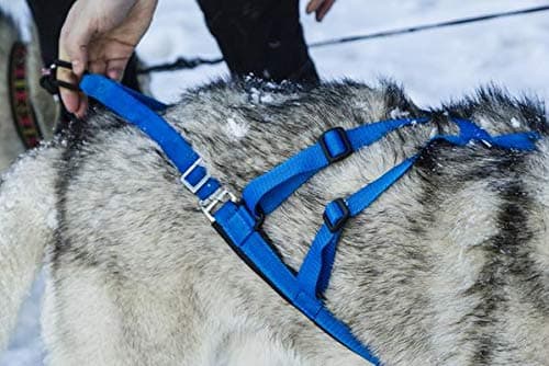 Neewa Adjustable Sled Pro Harness - Medium, Yellow, Large Breed, Pulling, Joring thumbnail 7