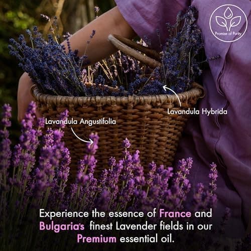 Majestic Pure Essential Oil with Glass Dropper - 100% Pure and Natural - Essential Oils for Diffuser, Aromatherapy, Soap and Candle Making, Lavender Essential Oil, Lavender Oil, 4 Fl Oz thumbnail 3