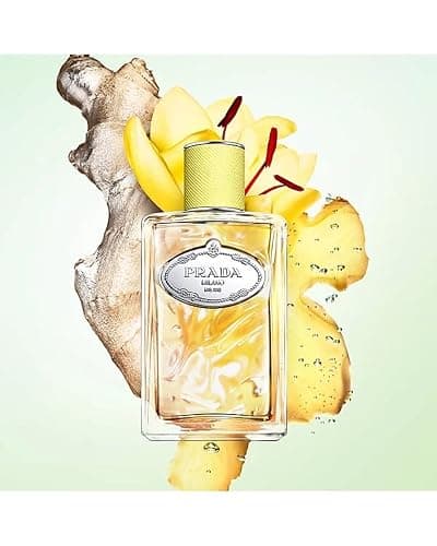 Infusion De Gingembre by Prada for Women - 3.3 oz EDP Spray thumbnail 2