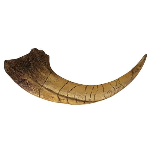 Fossilized Teeth and Claws of Various Prehistoric Dinosaurs, Megalodon Shark Teeth, and High-Fidelity Replicas (Megaraptor Claw) thumbnail 6