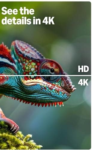 Amazon Fire TV 55" 4-Series (newest model), 4K Ultra HD smart TV with Alexa Remote, HDR10+, fast processor, Dolby Audio, Ambient Experience, free and live TV thumbnail 6