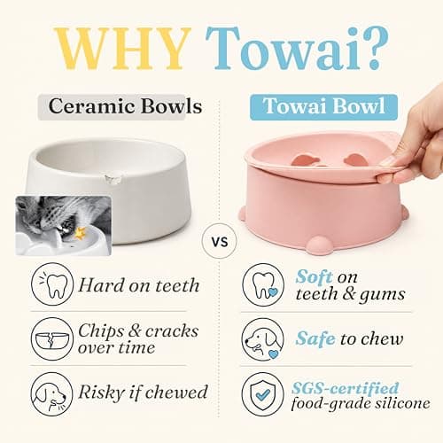 Cat Slow Feeder Bowl, Raised Slow Feeder Cat Bowl for Dry and Wet Food, Elevated Slow Feeder Dog Bowls Small Breed and Puppy, BPA Free Silicone Bowl, Heights Adjustable, Microwave & Dishwasher Safe thumbnail 4