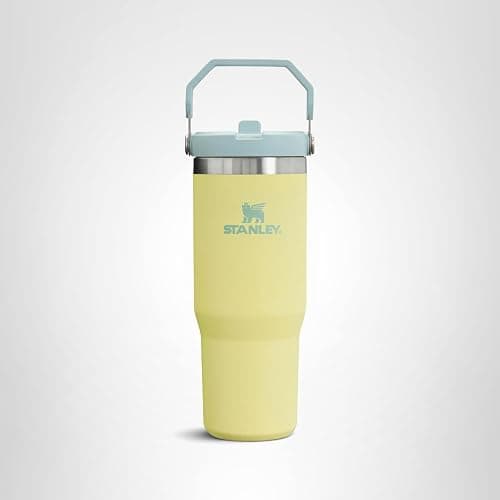 Stanley IceFlow Flip Straw Tumbler with Handle | Twist On Lid and Flip Up Straw | Leak Resistant Water Bottle | Insulated Stainless Steel | BPA-Free thumbnail 9