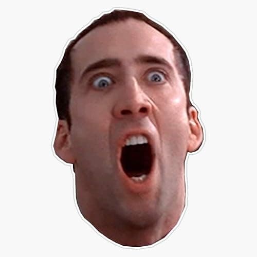 Nicolas Cage Vinyl Waterproof Sticker Decal Car Laptop Wall Window Bumper Sticker 5" - Image 1
