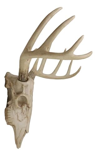 Ebros Gift Rustic Hunter Deer 10 Point Buck Skull Trophy Antlers Wall Mounted Plaque Decor Figurine 14.25" Long Hunter's Antler Rack Theme Deer Buck Hunting Skulls Trophies Hanging Sculpture thumbnail 3