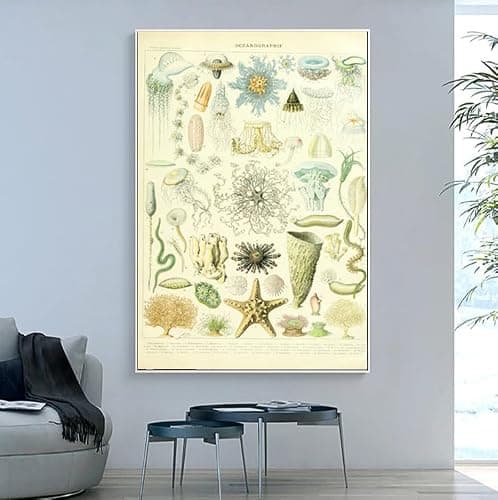 OKRA Adolphe Millot Prints - Pour Tous Posters - Software Bioscience Education Wall Decoration - Vintage Knowledge Posters - Kids Room Kindergarten Frameless Cool Home Decoration (12×18in/30×45cm) thumbnail 3