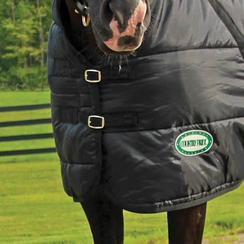 Country Pride Sentinel Channel Quilt Horse Stable Blanket, Midweight Open Front, 420D Nylon Outer Shell, 250g Poly-Fill Insulation, Wither Protection, Adjustable Leg Straps, Bias Surcingle (54,Black) thumbnail 4