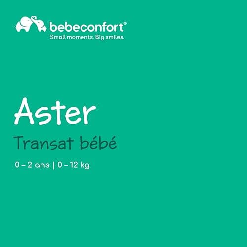 Bebeconfort Aster, transat bébé, 0–2 ans, léger (2,7 kg), pliable ultra compact, dossier réglable, arche de jeux amovible, harnais à 3 points, mode fixe, Tinted Graphite thumbnail 2