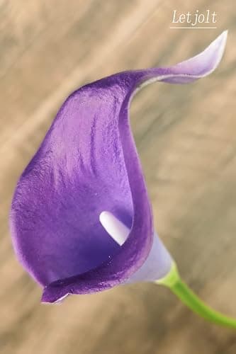 Letjolt Calla Lily Purple Artificial Flowers 12Pcs Table Flower Decor Faux Calla Lilies Bouquet for Wedding Bride Shower Home Decoration, Purple thumbnail 5